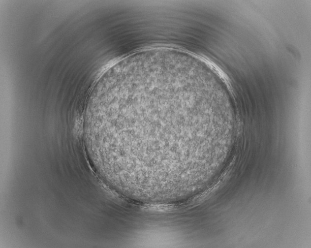 X0000115430953200912161431