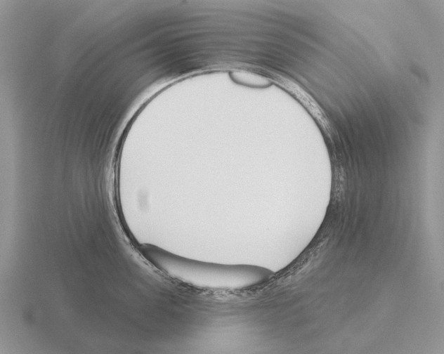 X0000115430955200912161431