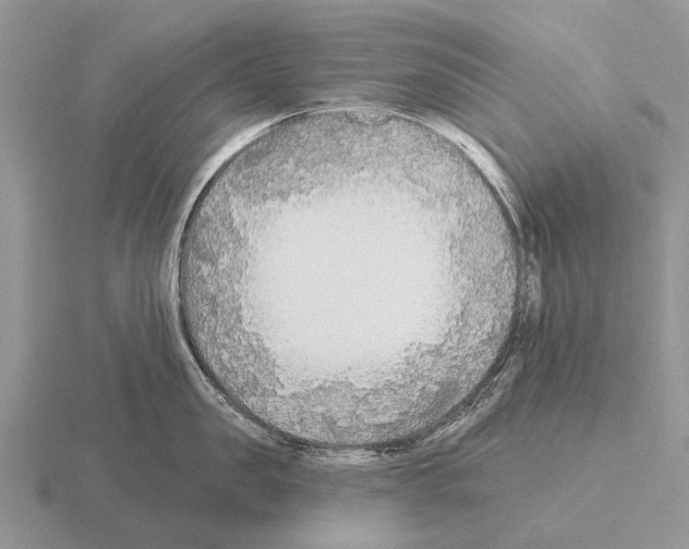 X0000115430957200912161431