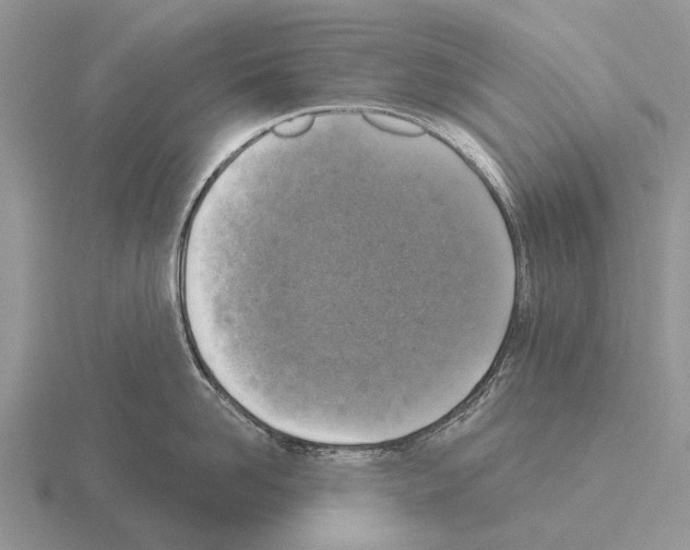 X0000115430958200912161431