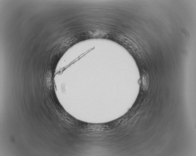 X0000115430963200912161431