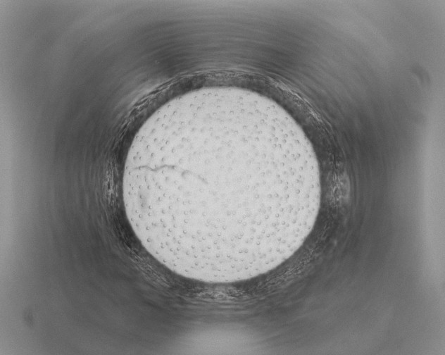 X0000115430966200912161431