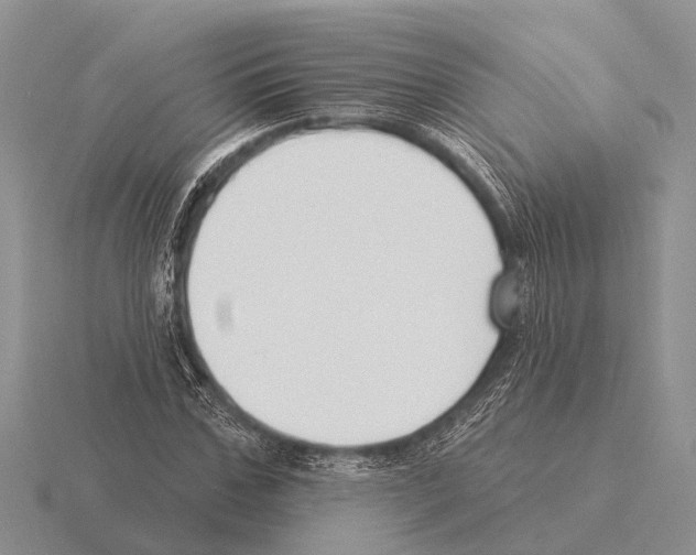 X0000115430971200912161431