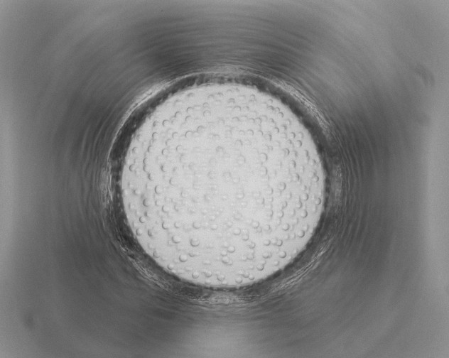 X0000115430974200912161431