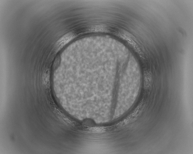 X0000115430977200912161431