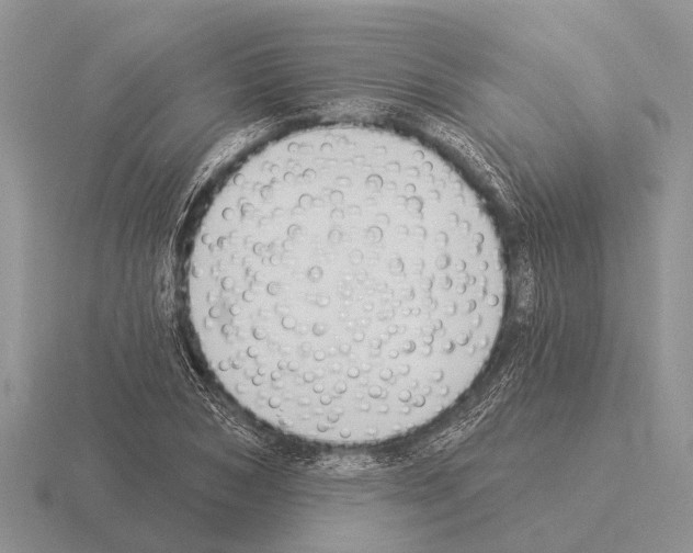 X0000115430978200912161431