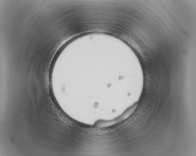 X0000115430980200912161431