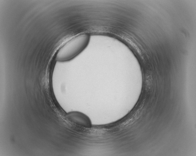 X0000115430981200912161431