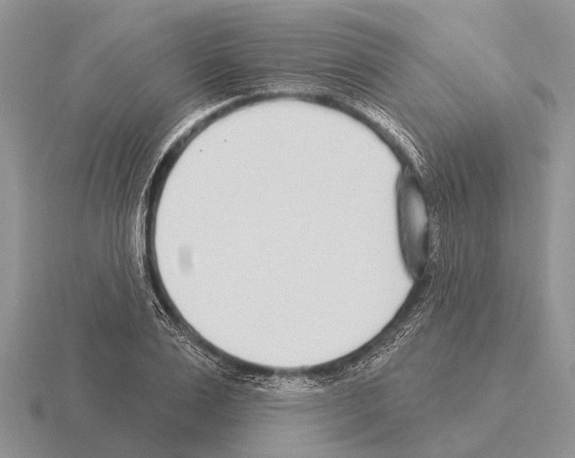 X0000115430983200912161430