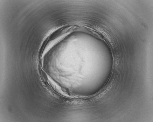 X0000115430989200912161430