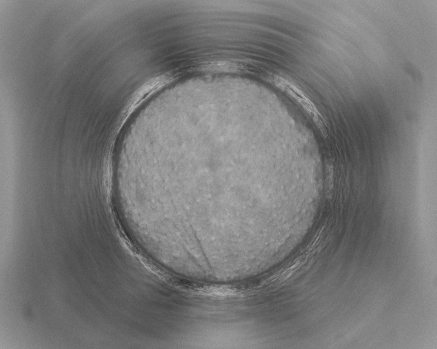 X0000115430994200912161430