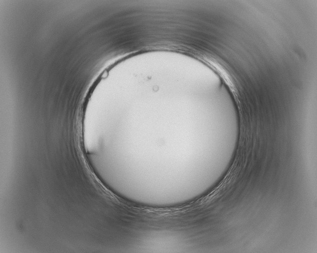 X0000115431000200912161430