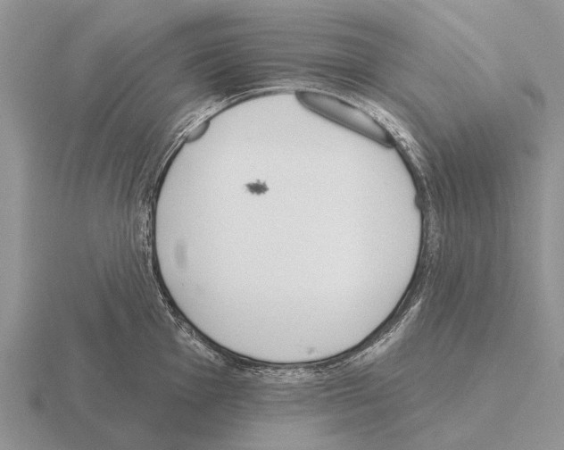 X0000115431001200912161430