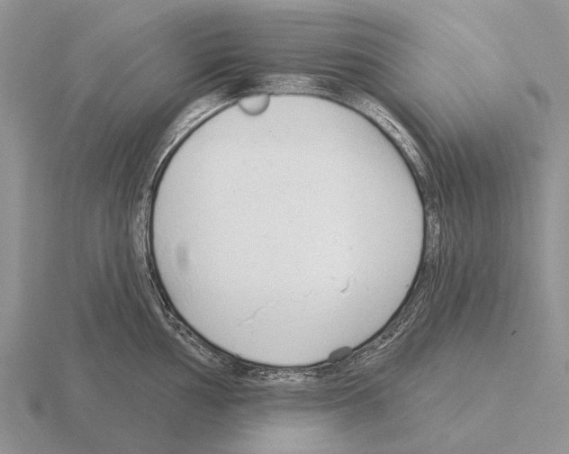 X0000115431002200912161430