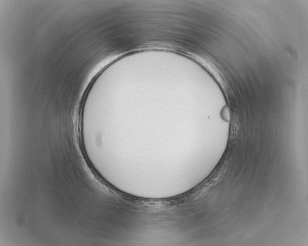 X0000115431003200912161430