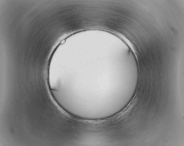 X0000115431005200912161430