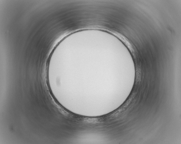 X0000115431006200912161430