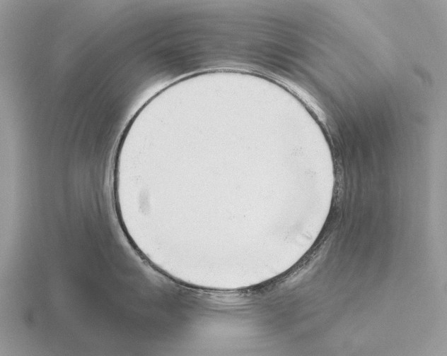 X0000115431007200912161430