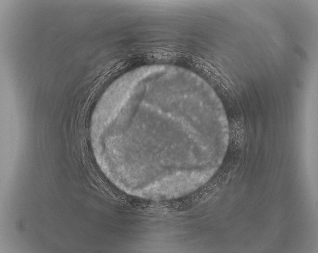 X0000115431009200912161430