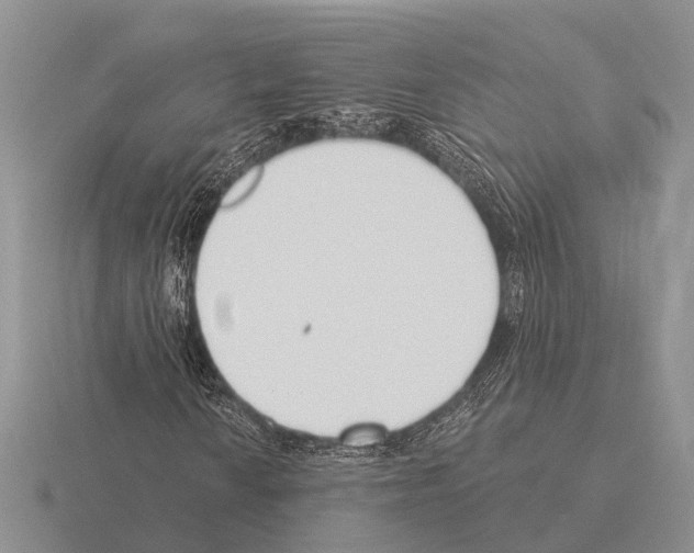 X0000115431010200912161430