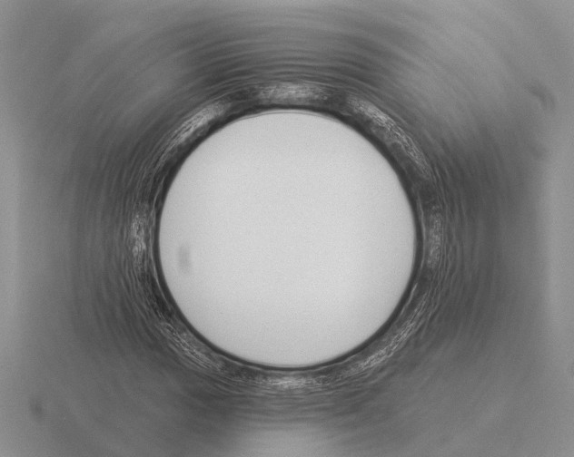 X0000115431017200912161430