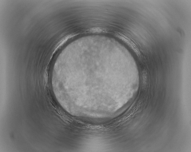 X0000115431023200912161430