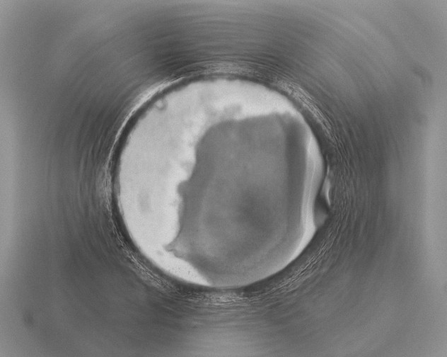 X0000115431024200912161430