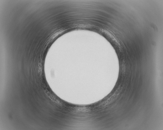 X0000115431025200912161430