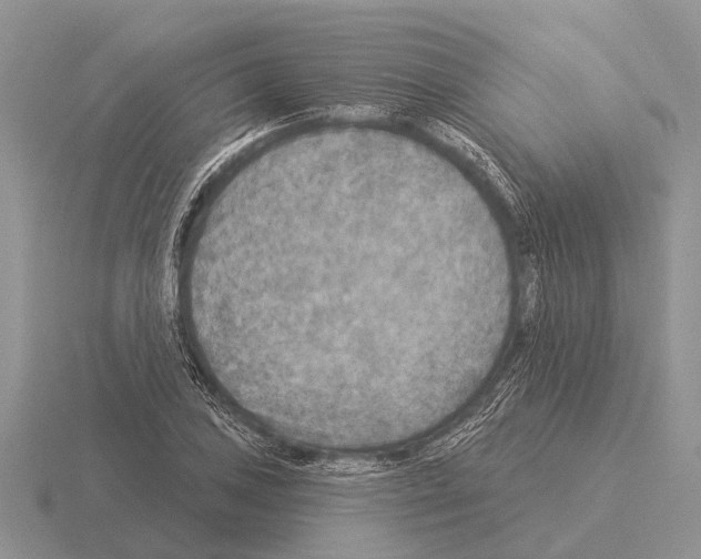 X0000115431027200912161430