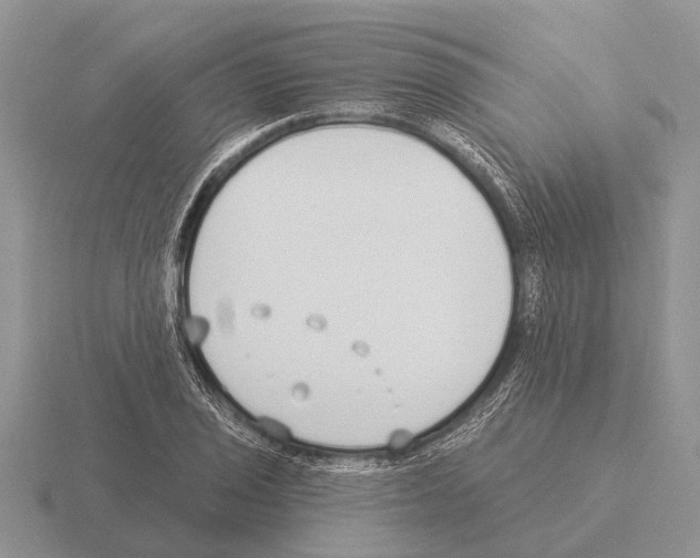 X0000115431029200912161430