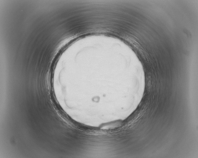 X0000115431030200912161430