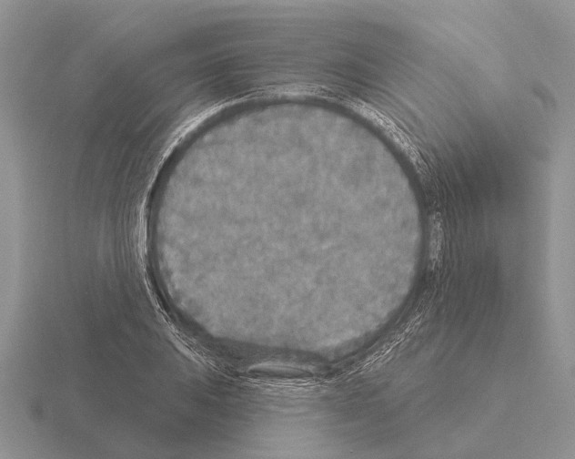 X0000115431031200912161430