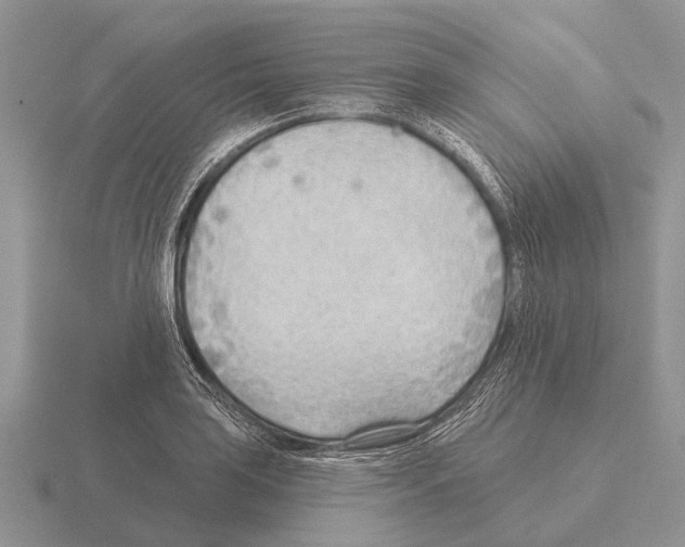 X0000115431035200912161430