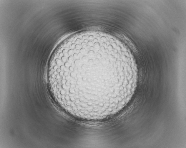 X0000115431036200912161430