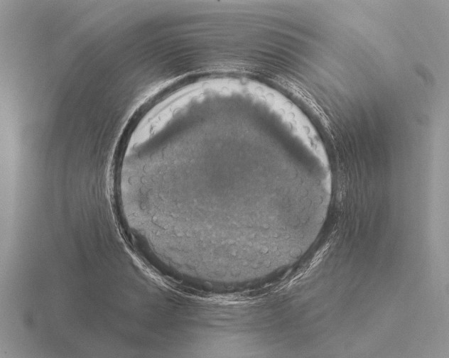 X0000115431037200912161430