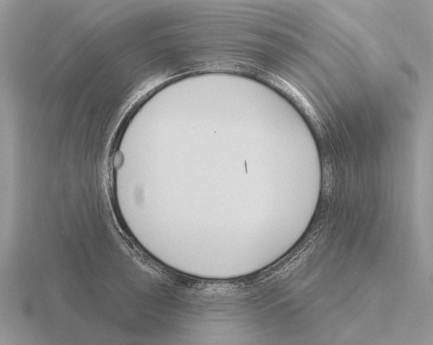 X0000115431043200912161430