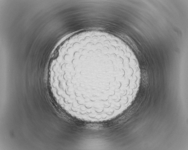 X0000115431044200912161430