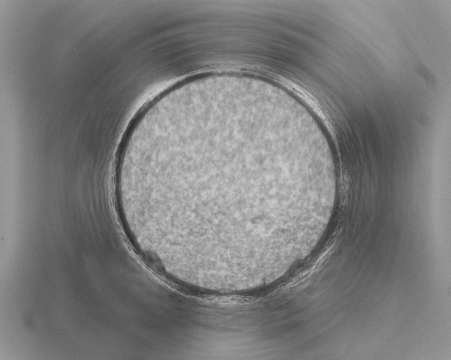 X0000115431045200912161430