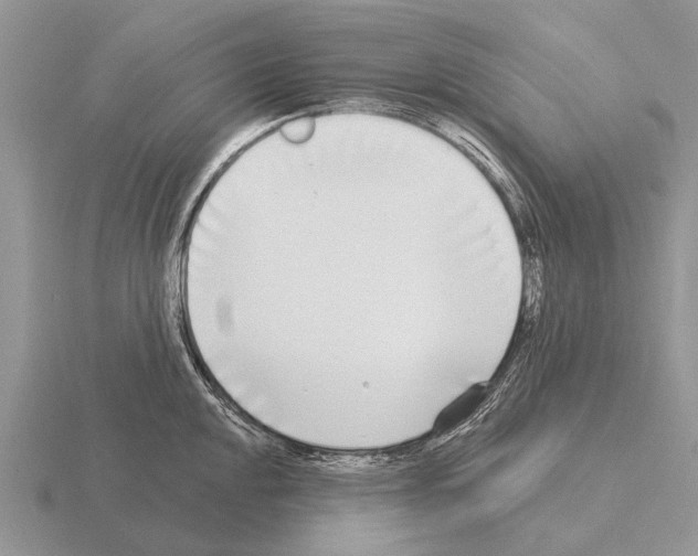 X0000115431048200912161430