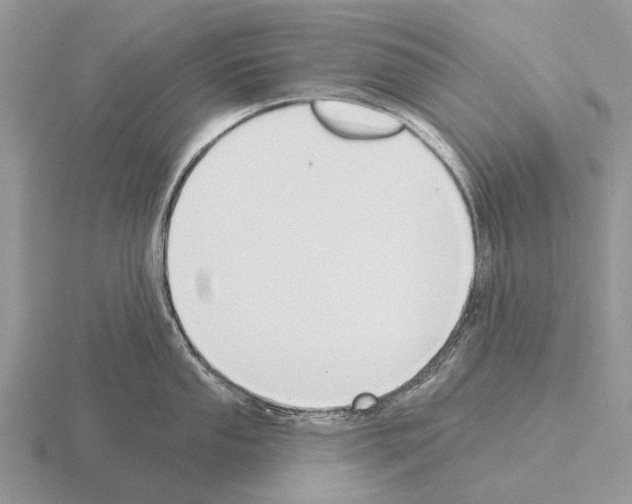 X0000115431053200912161430