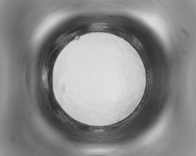 X0000115431054200912161430