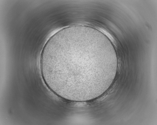 X0000115431055200912161430