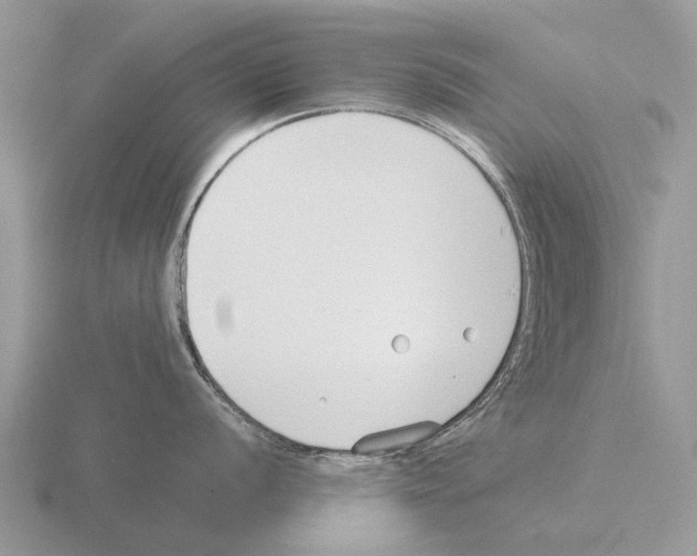 X0000115431056200912161430