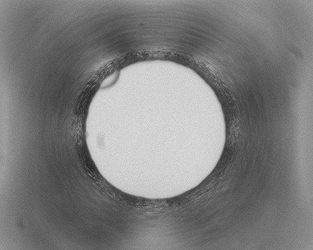 X0000115431062200912161429