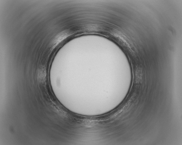 X0000115431065200912161429