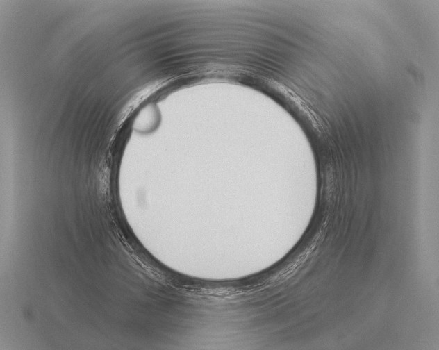 X0000115431066200912161429