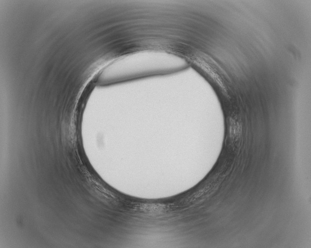 X0000115431068200912161429