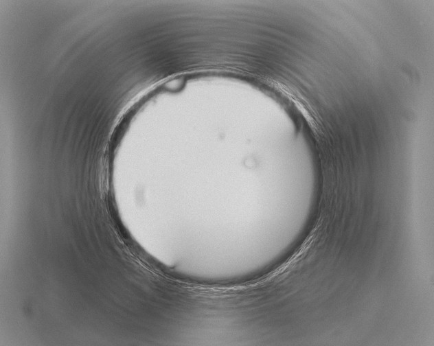 X0000115431069200912161429