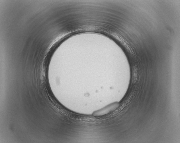 X0000115431070200912161429