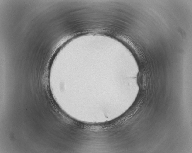 X0000115431071200912161429